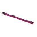 퍼플퍼피 이미지