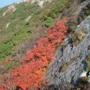 081003신불산(베네치아산장-신불산-영축산-청수골산장) 이미지