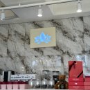 로지 아울렛 이미지