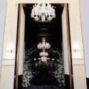 웨스턴베니비스 이미지