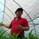 박광수농장 이미지