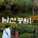 숲으로 가는 길 | 남산 소월공원 단풍 나들이 추천! 남산 하늘숲길 가는방법 &amp; 후기