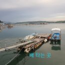 돌산해양낚시공원낚시터 이미지