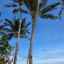 비비큐(BBQ) | 보라카이 도착 후 첫 식사｜아이 러브 비비큐(I Love BBQ) 솔직 후기