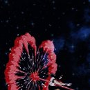 한우생고기 이미지