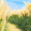 대나무공원 화장실 이미지