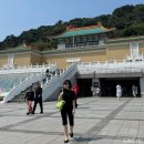 26470-01-21-365 | 대만 여행 | 타이베이 3월 날씨 옷차림 (타이베이 여행 뭐입지?) 실시간 ootd