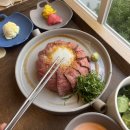 요술옷장 이미지