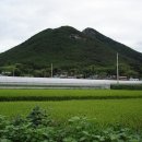 김극뉴 묘역 이미지