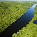 유네스코 세계자연유산(130) / 중앙 아마존 보전 지역(Central Amazon Conservation Complex) 이미지