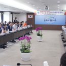 다듬 이미지