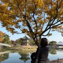 조선다방(시청점) | 서울 단풍명소 주말가볼만한곳 경복궁 무료개방 북촌 서촌 은행나무 단풍 실시간 후기