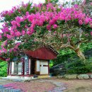 계룡농장 이미지