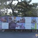 제주 한림 가볼만한곳 금능석물원 후기!