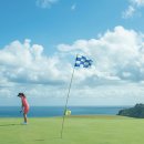 골프투어 이미지