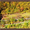 청량산쉼터민박 이미지