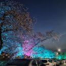 가족호텔옆공중화장실 이미지