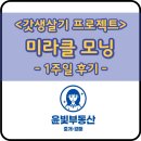 모닝 미라클(Morning Miracle) | 갓생 살기 프로젝트 : 미라클 모닝 1주일 생생 후기
