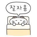 냥빨 이미지