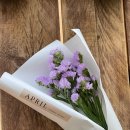 성균관대학교 글로벌보험연금대학원 | 자기계발 종류 추천 인생멘토 네이버 프리미엄 컨텐츠 플스포컴퍼니