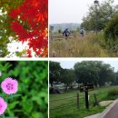 바이크 탐방로4 이미지