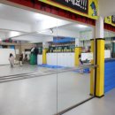 용인대 화랑 태권도 이미지