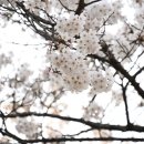 자유수호평화박물관주차장 이미지