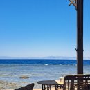 감자랑커피랑 이미지