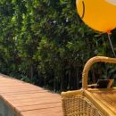 보광산관광농원 이미지