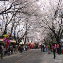 동학사1·2로 이미지