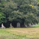 운주사 | 화순 운주사. 천불천탑 조성으로 새로운 세상을 꿈꾸다.