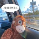 내마음바다죠 이미지