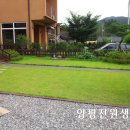 조현초등학교 이미지