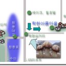 청풍마을펜션 이미지