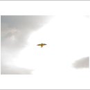 [잠언 26장] ⊙ 인간의 중심을 보는 지혜가 있어야 사단의 궤계를 막을 수 있습니다 (20251106) ​ 이미지