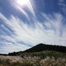 공인씨엠번역행정사 사무소 이미지