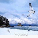 동해중기 이미지