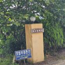 갯벌부흥펜션 | 태안애견동반펜션 갯벌체험 솔직후기! 태안독채펜션에서 아이들과 함께한 진산리갯벌체험 현실 체험담