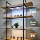 일신한의원 이미지