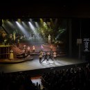 무장애 공연 이미지