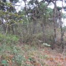 고산터널 등산로 이미지