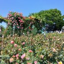 도당공원 이미지