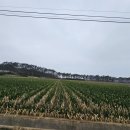 하우리농장 이미지