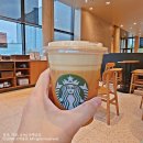 (주)카노 | 스타벅스 에어로카노 신상 음료 케이크 후기