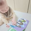 아람북스 베이비올 수과학 후기 돌아기 책추천