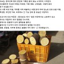 참옻의 효능과 사용법 이미지