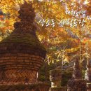 산림욕장 | 대전 여행 중 한국의 앙코르와트 상소동 산림욕장 방문후기