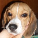 서림동-22 이미지