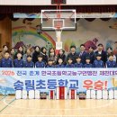 글로벌 송림 이미지