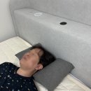 꽃향기 가득 천 채색화 | 거북목베개 베개추천 집앤콕 잘자U유 경추베개